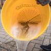 imageMeguiars Yellow Bucket Car Wash Bucket for Water and Suds  35 Gallon