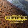imageMeguiars Professional So1o AllinOne M300  SiO2Based Formula Removes Paint Defects and Delivers Durable WaterBeading Protection Get Compounding Polishing and Protecting in One Step  32oz